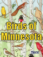 An interactive poster of birds of Minnesota, complete with their calls.